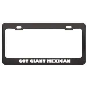 Got Giant Mexican Shrew? Animals Pets Black Metal License Plate Frame 