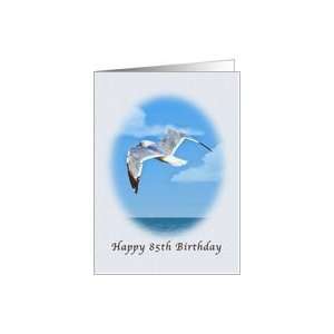  85th Birthday, Ring billed Gull Bird Card Toys & Games