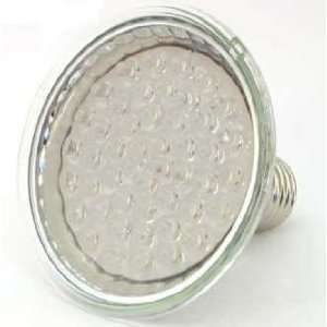  110V AC Screw in 48 bright white LED Light Bulb uses about 