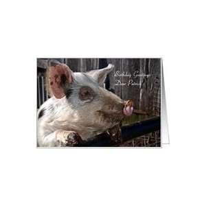  Birthday Name Patrick   Animal Cute Pig Farm Rural Card 