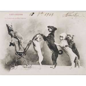 La Promenade de Mademoiselle Follette, Four Dogs Take a Fifth for a 