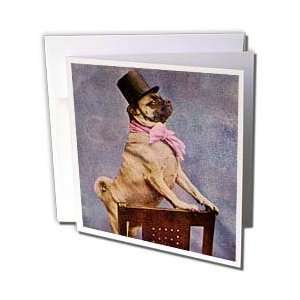  Scenes from the Past Vintage Stereoview   Pug in Top Hat 