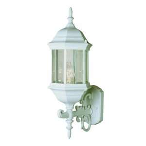  Trans Globe 1 Lt Outdoor Wall Lantern4351 wh (Additional 