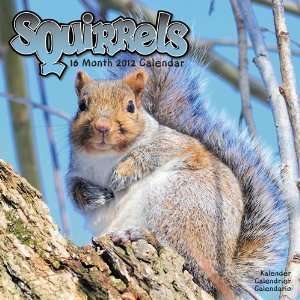  Squirrels 2012 Wall Calendar 12 X 12