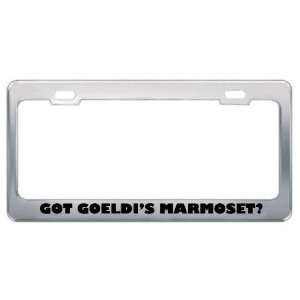 Got GoeldiS Marmoset? Animals Pets Metal License Plate Frame Holder 