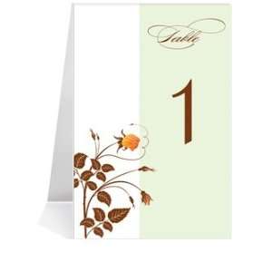  Wedding Table Number Cards   Rose Orange Chocolate Mint #1 