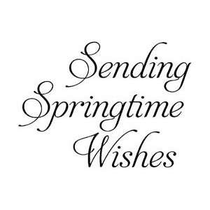  Art Gone Wild Mounted Rubber Stamps Springtime Wishes 
