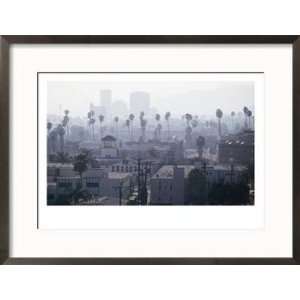  Palm Trees and Smog Over Buildings, Los Angeles, USA Art 