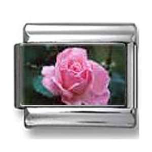  Pink Rose Flower Photo Italian Charm Jewelry