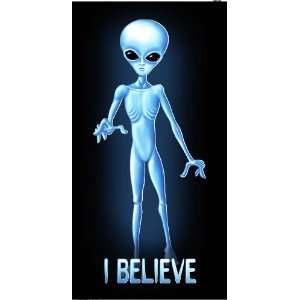 Alien UFO I Believe Beach Towel