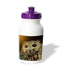   Art Designs   Hoot Hoot Owl   Water Bottles