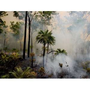  Controlled Burn in an Australian Forest To Help with Flood 