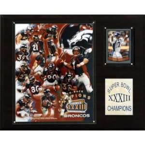  NFL Denver Broncos Champions Plaque
