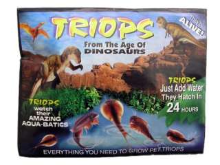 Triops Packet Triassic Sea Creature Grow Triop Eggs  