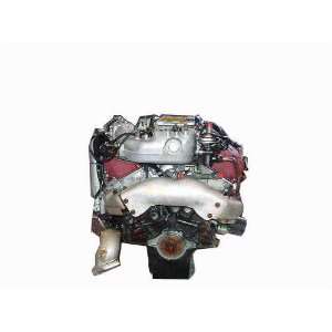  EverDrive Guaranteed Used Engine 3113896 Automotive