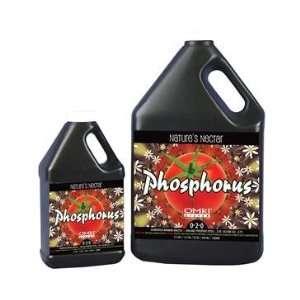  Natures Nectar Phosphorus Qt 