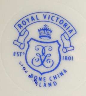 ROYAL VICTORIA china ROV7 Rosebud Salad   Dessert Plate  