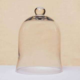 This modern shaped glasscloche is great for incubating plants or 