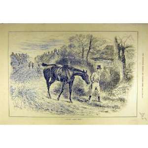  1884 Limping Home Lame Horse Rider Hunter Hunt Print