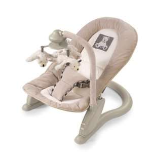  Summer Infant Deluxe Soft Embrace Bouncer Baby