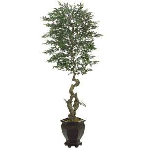  Faux 7.5? Curved Ming Aralia Tree in Container Green 