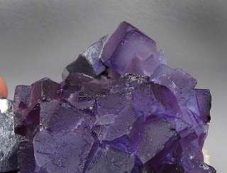 Purple FLUORITE Cubes w/ Galena, Bingham, New Mexico  