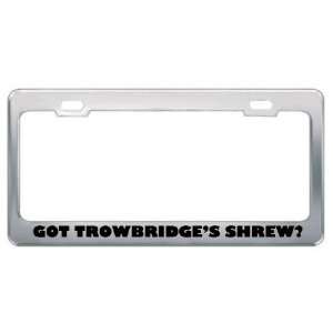 Got TrowbridgeS Shrew? Animals Pets Metal License Plate Frame Holder 