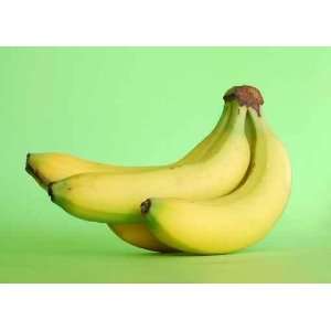  Bananes Sur Fond Vert   Peel and Stick Wall Decal by 