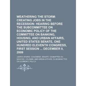 Weathering the storm creating jobs in the recession hearing before 