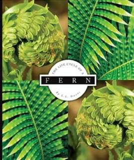   of a Fern by L. L. Owens, Childs World, Incorporated, The  Hardcover