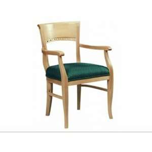  Transitional Arm Chair, 1EA, model CAE673G4 Health 