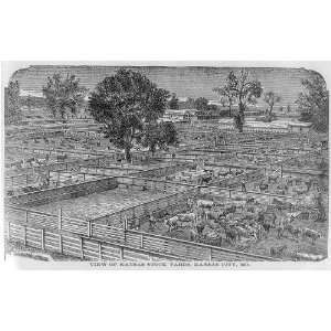 Kansas Stock Yards,History,Cattle Trade,MO,1874