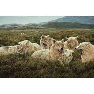  John Seerey Lester   Tundra Family Arctic Wolves
