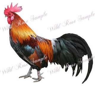 You are bidding on a full sheet of vintage style XL SHABBY ROOSTER 
