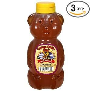 Topanga Quality Honey, Orange, 24 Ounce Squeeze Bears (Pack of 3 
