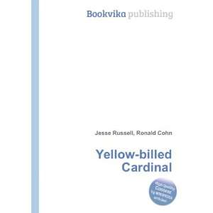  Yellow billed Cardinal Ronald Cohn Jesse Russell Books