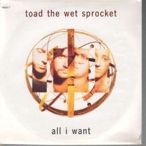  ALL I WANT 7 INCH (7 VINYL 45) UK COLUMBIA 1992 TOAD THE 