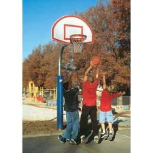 Bison Playground Basketball System 