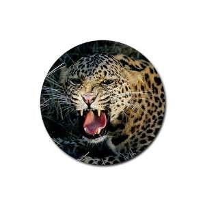 Leopard Big Cat Round Rubber Coaster set 4 pack Great Gift 