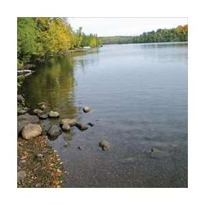  McRice Photo Papers 12x12 Lakeshore 1; 25 Items/Order 