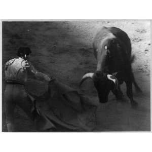  Bull charging matador,1930s?,Motion Picture,Tiefland 