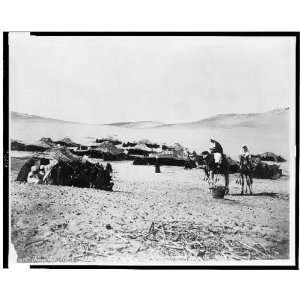   de chameliers a un campement de tubu / Bonfils.