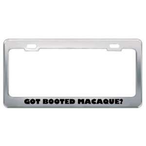  Got Booted Macaque? Animals Pets Metal License Plate Frame 