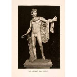  1905 Photolithograph Sculpture Apollo Belvedere Art Marble 