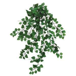  29 King Mini Philodendron Bush W/300 Lvs. Green (Pack of 