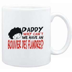   White  BEWARE OF THE Bouvier des Flandres  Dogs