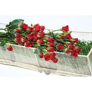  18 Stems Red Spray Roses Boxed in Stems Patio, Lawn 