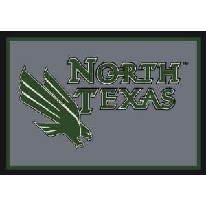  North Texas Mean Green 5 x 8 Team Door Mat Sports 