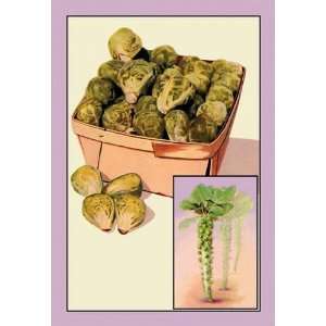   Exclusive By Buyenlarge Brussel Sprouts 20x30 poster