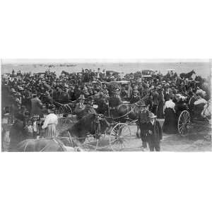   lot auction sale,wagons,carts,Swink,Colorado,c1906